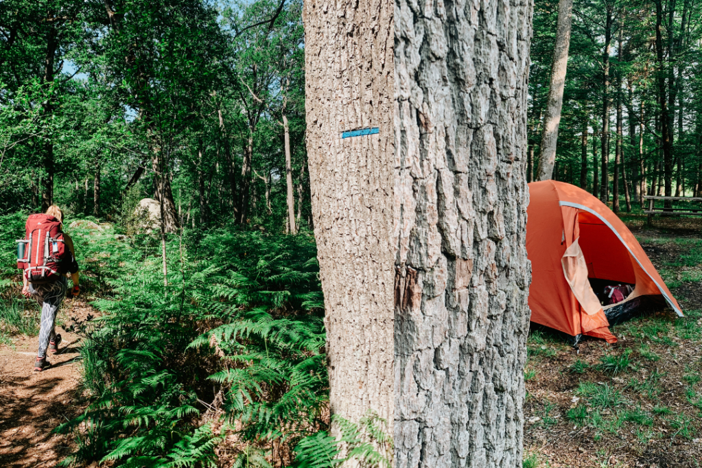 3 jours de randonnée à côté de Paris : de Cesson à Fontainebleau.